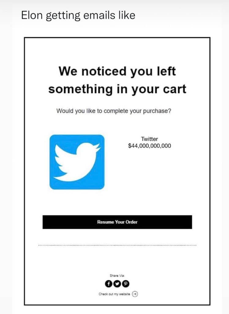 En bild som visar ett mejl till Elon Musk där han påminns om att han har glömt sitt Twitter-köp i varukorgen och uppmanas att slutföra sitt sig